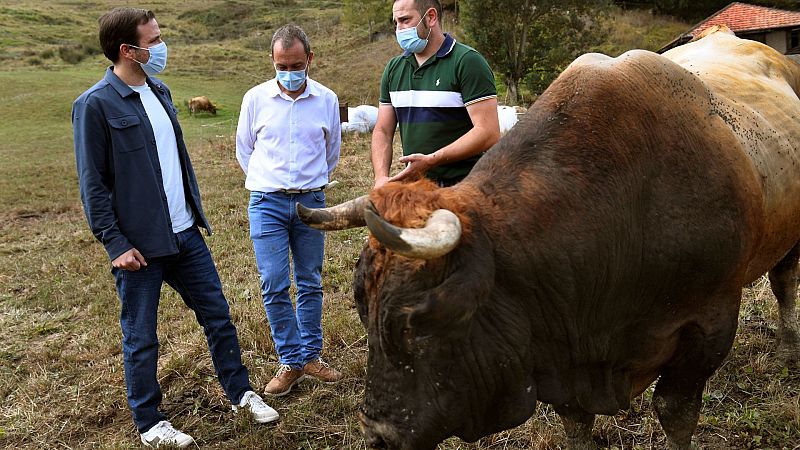 Garzón ve "contradicciones" en el PSOE sobre las macrogranjas y se reafirma: "Lo que dije es impecable"