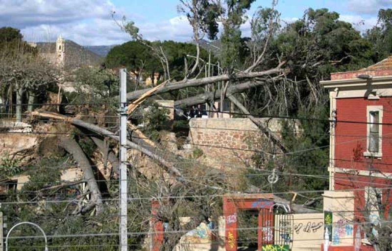 Más de 12.000 personas siguen sin luz en Galicia y Cataluña desde el fin de semana