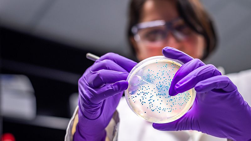 Las bacterias resistentes a los antibióticos causan ya más muertes al año que el sida o la malaria