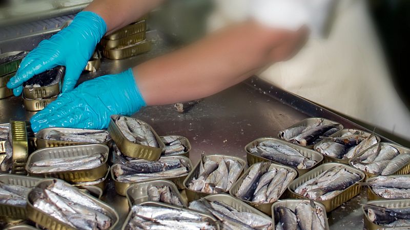 Convenio colectivo, brecha salarial y conciliación: los motivos de la huelga histórica de las conserveras de pescado
