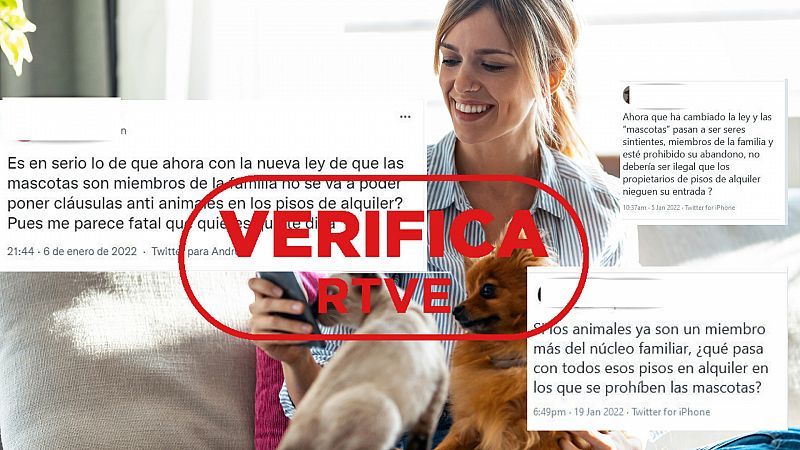 Ninguna ley obliga a propietarios a permitir mascotas en viviendas de alquiler