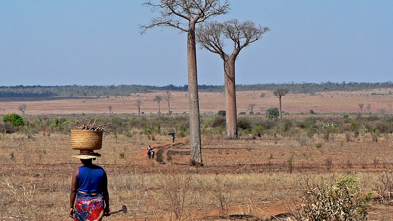 La lucha de las mujeres en Madagascar contra la sequía: "Mi futuro está aquí y tiene que existir una solución"