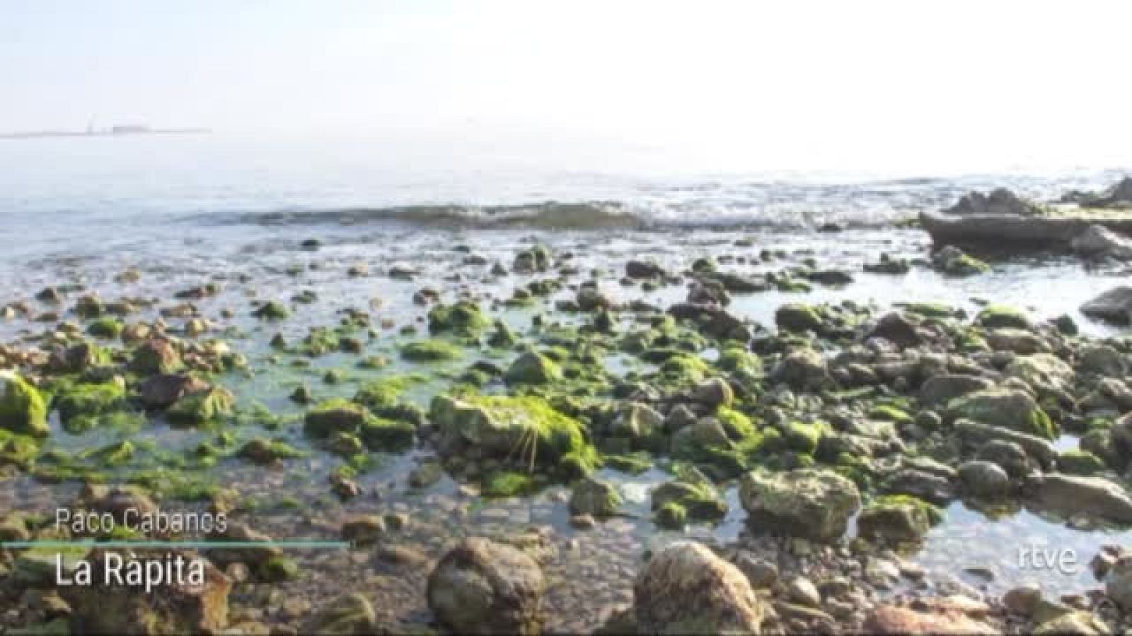 Imatges de les minves de gener | Veure