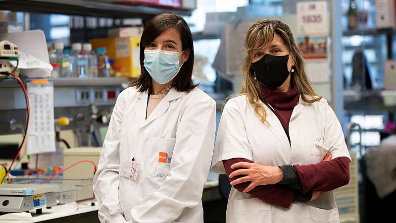 Investigadores españoles hallan un nuevo marcador para detectar precozmente el cáncer de páncreas