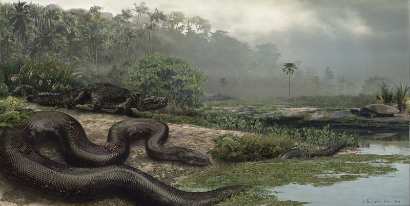La serpiente más grande 'sucedió' al Tiranosaurio