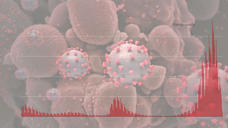 Consulta les dades COVID a Catalunya