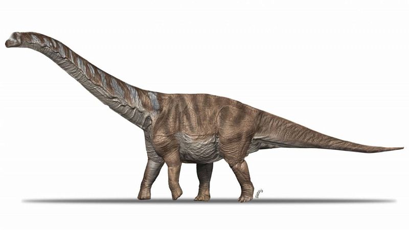 Descubren en el Pirineo catalán la mayor especie de dinosaurio que vivió en la Península Ibérica