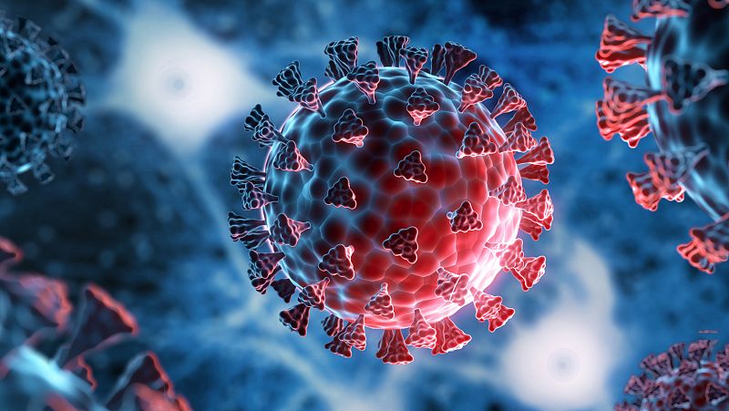 Antiinflamatorios y hormonas femeninas reducen la muerte por COVID