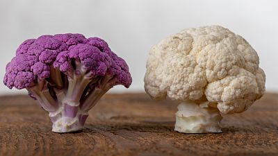 Coliflor blanca y morada, �menuda pasada!