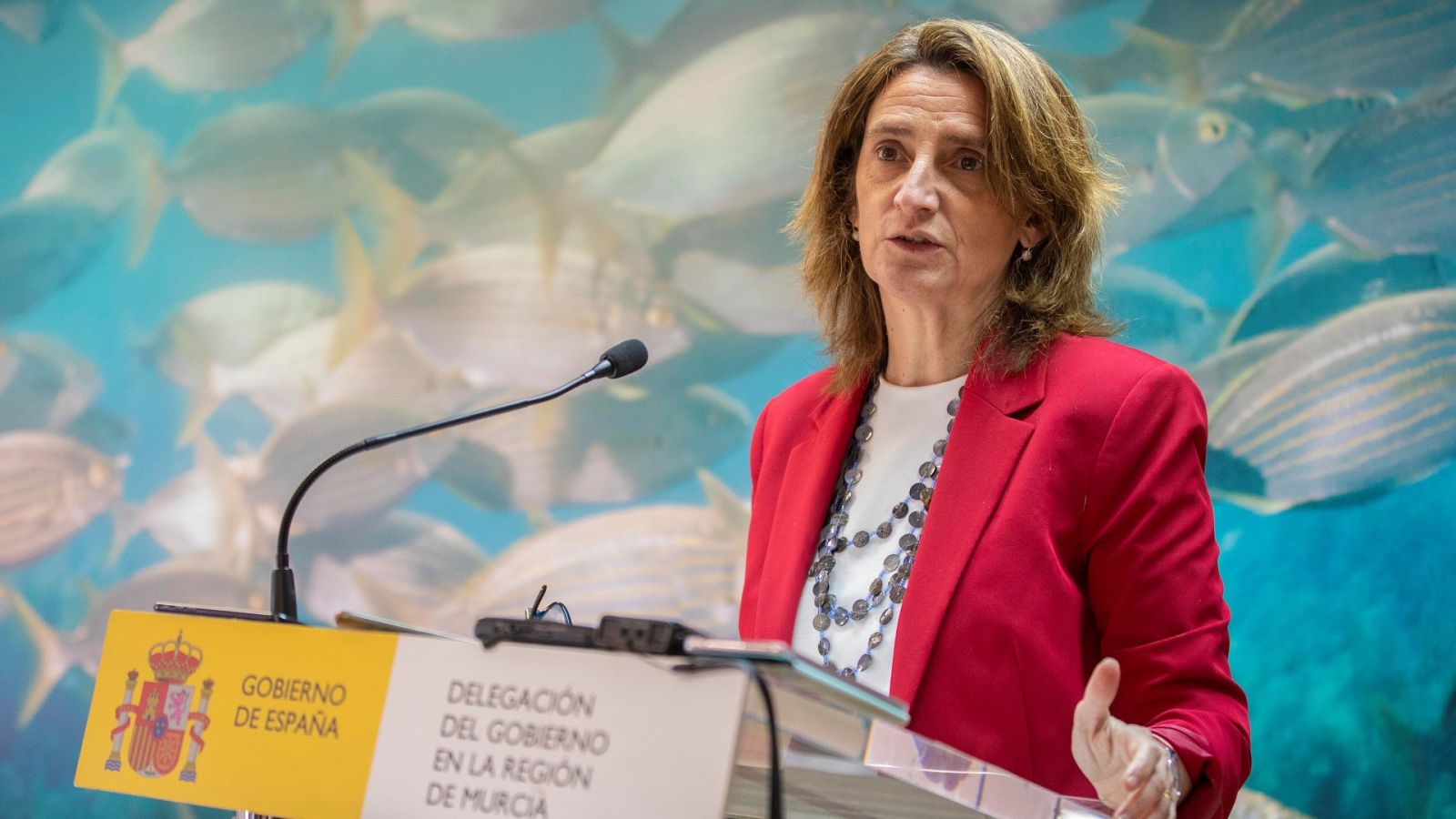 Gobierno amenaza con recurrir al TC la ley de regadíos de Doñana - Informativo 24h | Ver