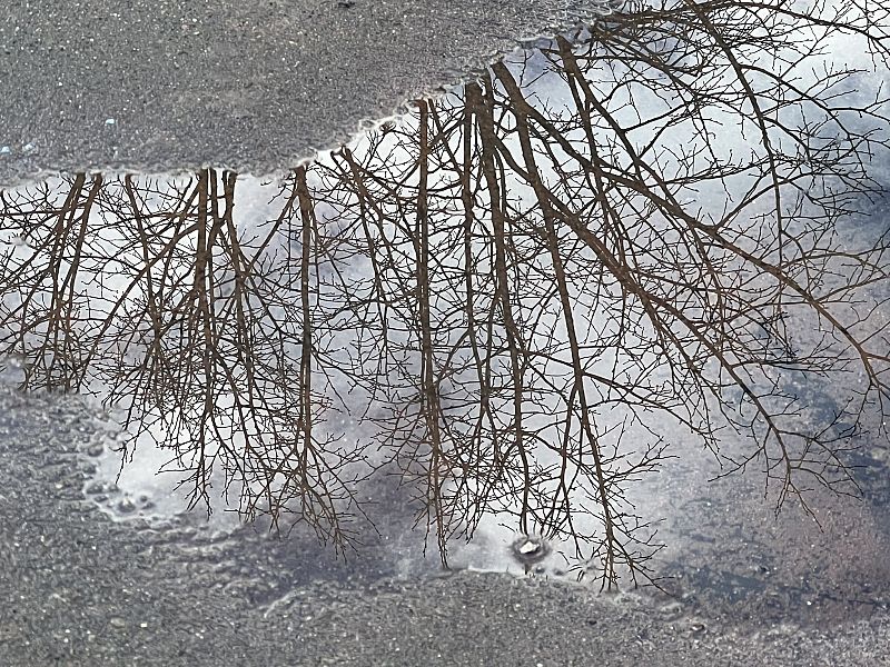 Les últimes pluges no són suficients per trencar la ratxa seca de més de 80 dies