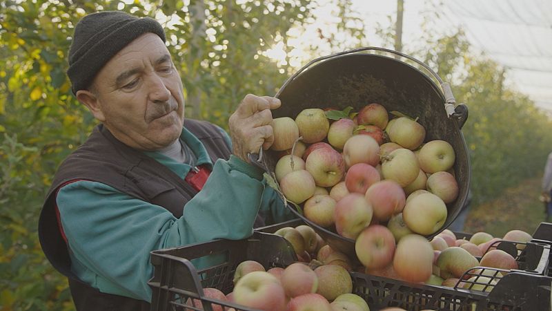 Girona reivindica les pomes autòctones