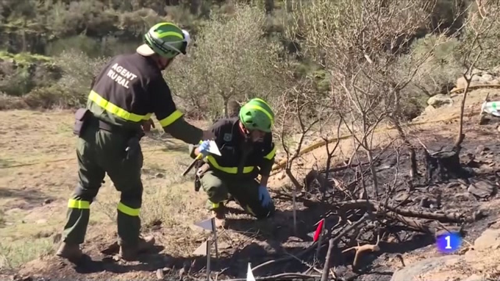 Els Agents Rurals investiguen les causes del foc - veure ara