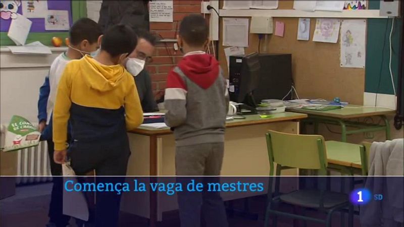 El Govern xifra en un 31,3% el seguiment de la vaga docent a l'escola pública