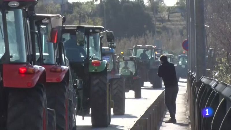 Els pagesos es manifesten per la crisi de preus al sector agrari