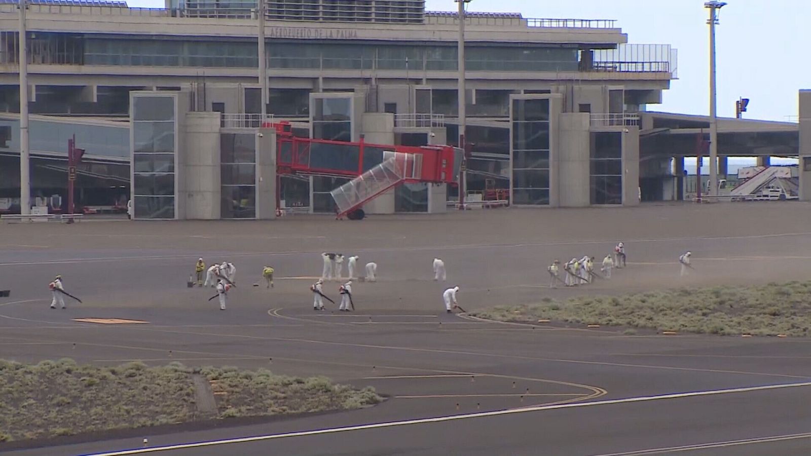 Denuncia pilotos despedidos - Telecanarias | Ver