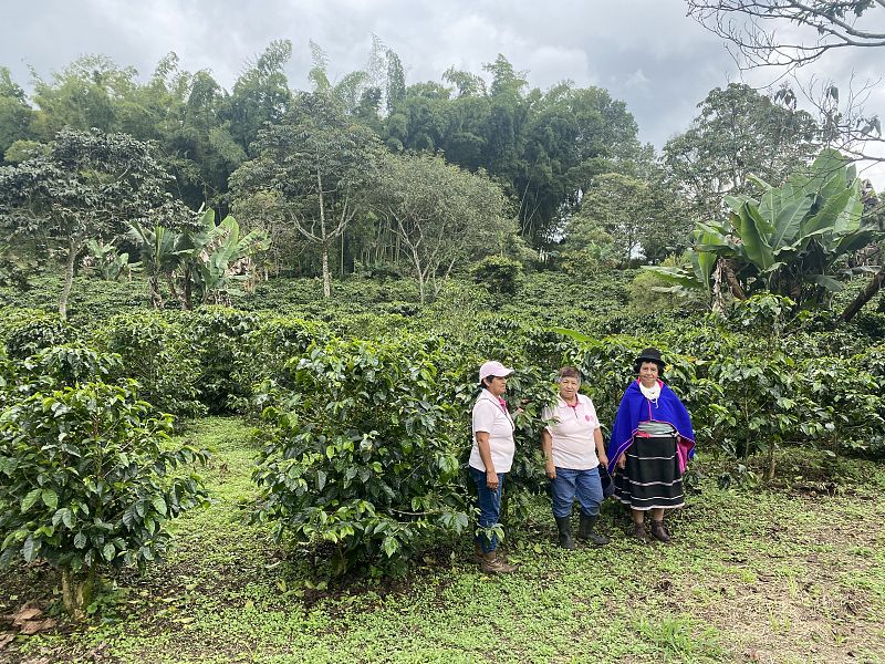 Café con aroma feminista: así es la única asociación de caficultoras de Colombia