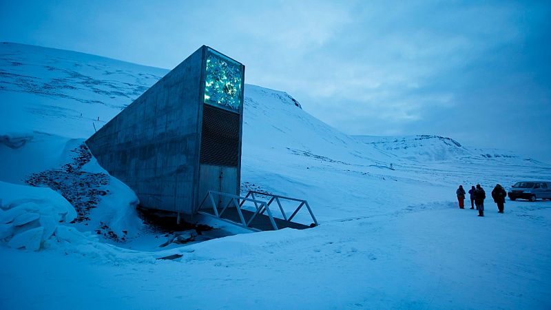 España depositará más de 1.000 semillas en el Banco Mundial de Semillas de Svalbard, el 'arca de Noé' vegetal