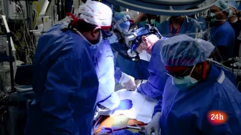 Trasplantes con órganos de animales, ¿una solución ante la falta de donantes?