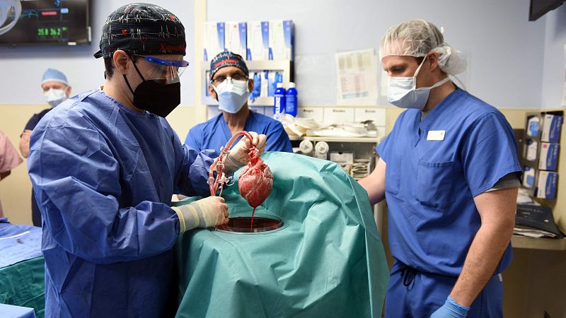 Muere el primer hombre que recibió un trasplante de corazón de cerdo dos meses después de la intervención