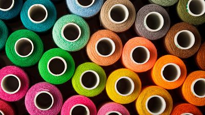 Memoria de delfín - El color: así lo perciben humanos y animales - 14/03/22 - escuchar ahora