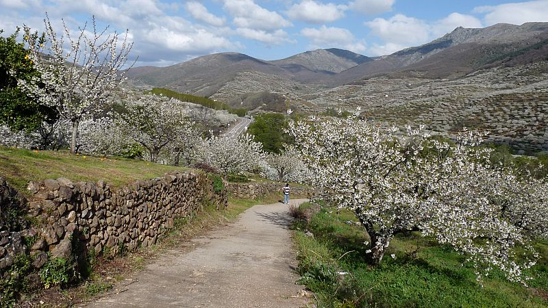 De ruta en busca de la primavera