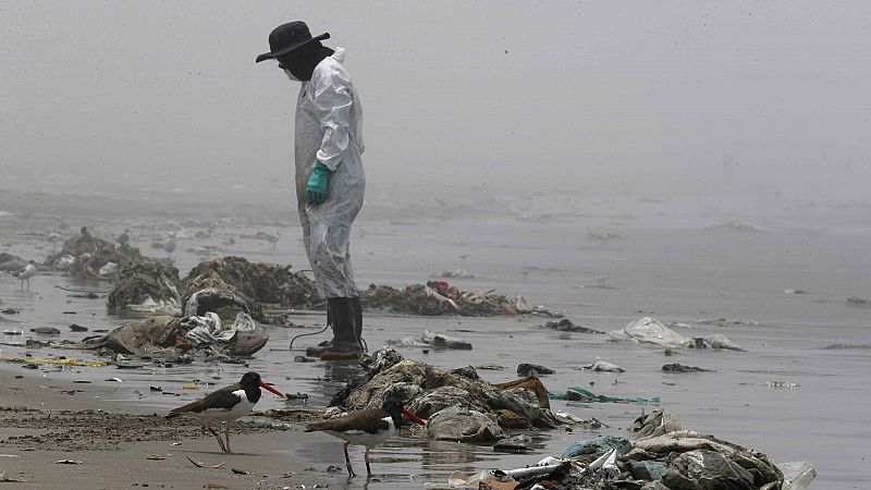 Perú inicia un nuevo procedimiento sancionador contra Repsol por "información falsa" sobre el derrame de petróleo