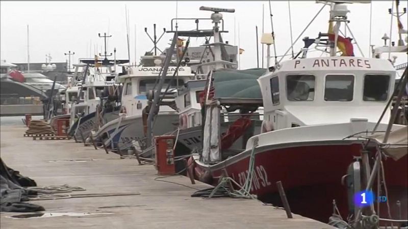 La reunió entre pescadors i el ministeri "no ha donat solucions"