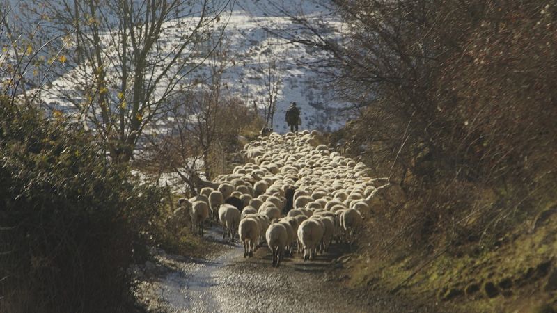 La indústria càrnia preveu un augment de costos de producció