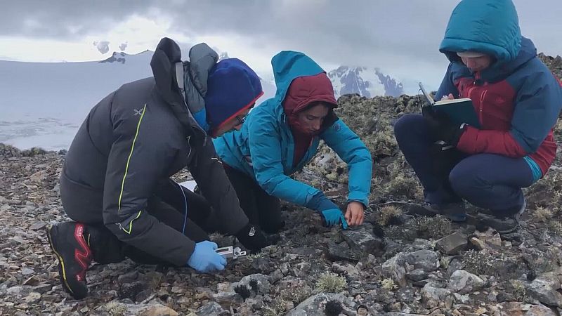 Estudiantes de Tenerife investigan en la Antártida la supervivencia de las plantas