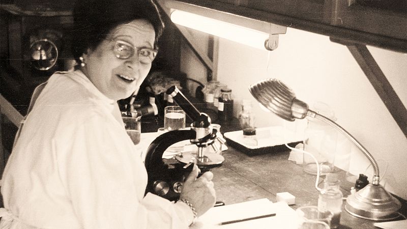 Emma Bardán, la oceanógrafa más prolífica de principios de siglo XX