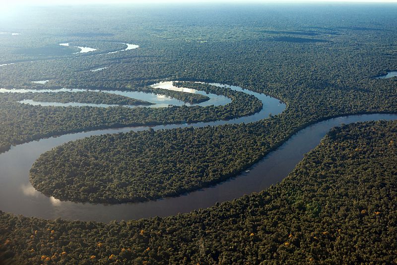 ¿Por qué el río Amazonas no tiene puentes? Ésta y otras curiosidades del río más grande del mundo