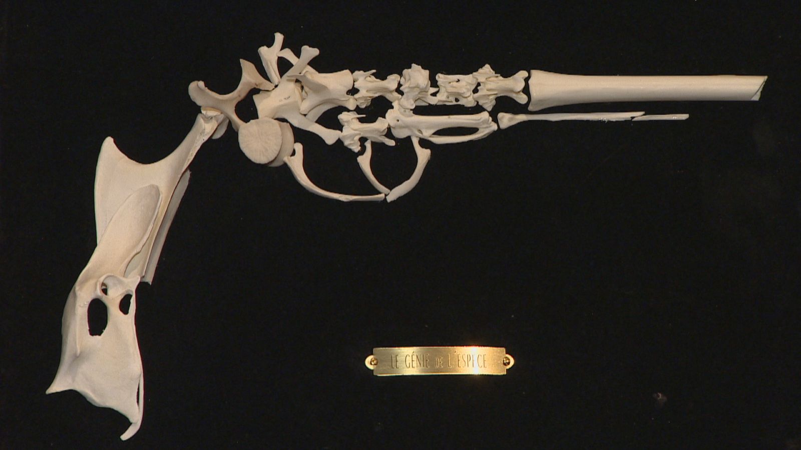 O Surrealismo no deseño - Telexornal - Galicia | Ver