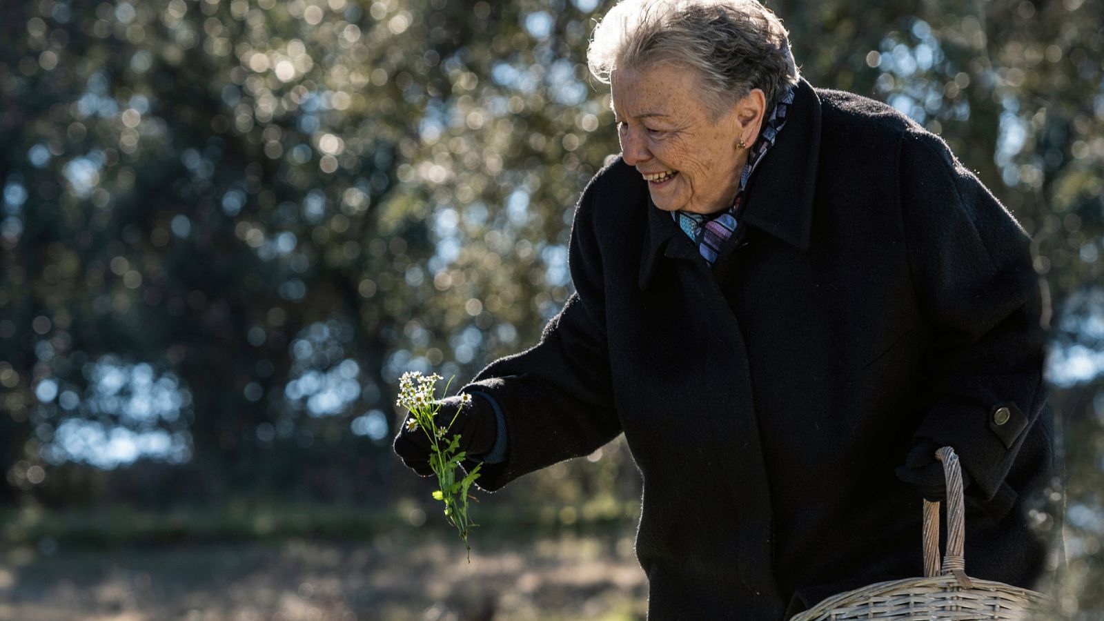 Así comienza el primer capítulo especial: "Margaritas silvestres"