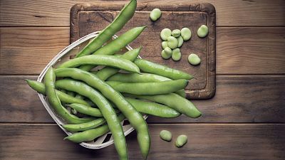 Vainas de habas baby, vers�tiles en el huerto y en la cocina