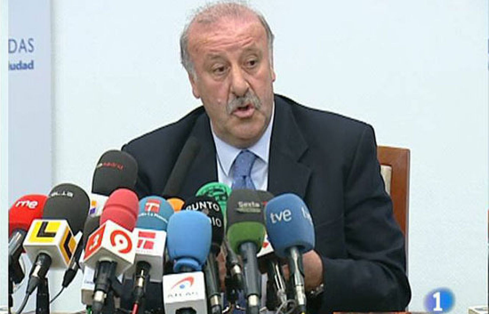 Vicente del Bosque no ha aparcado la idea de que Raúl vuelva a vestir la elástica de la selección española.