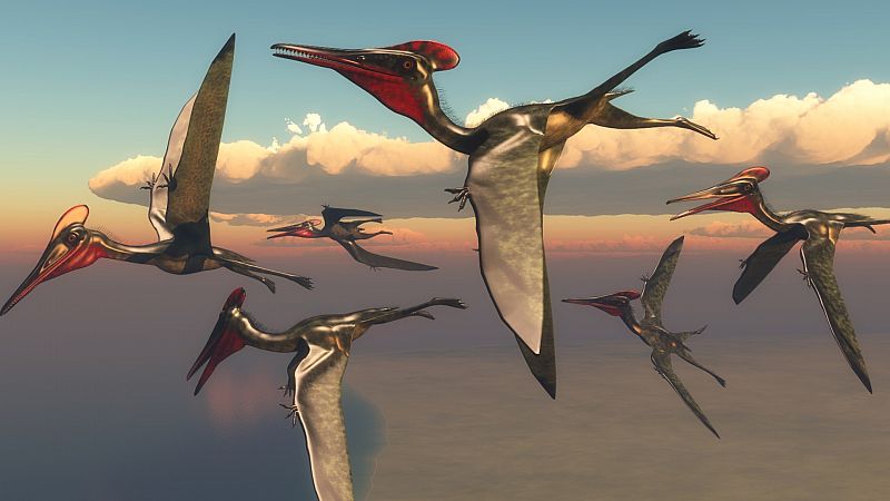 Resuelven el misterio de las plumas de los pterosaurios, los parientes voladores de los dinosaurios
