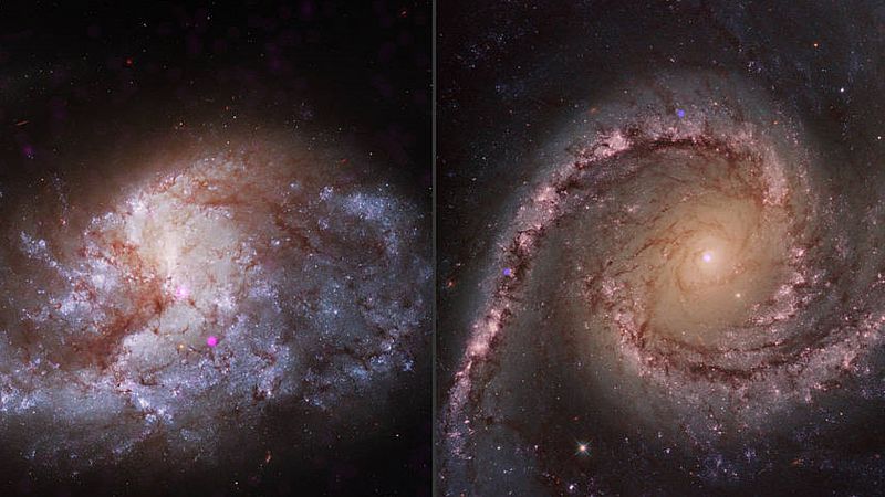 La NASA descubre que los agujeros negros podrían estar destruyendo miles de estrellas para aumentar su tamaño