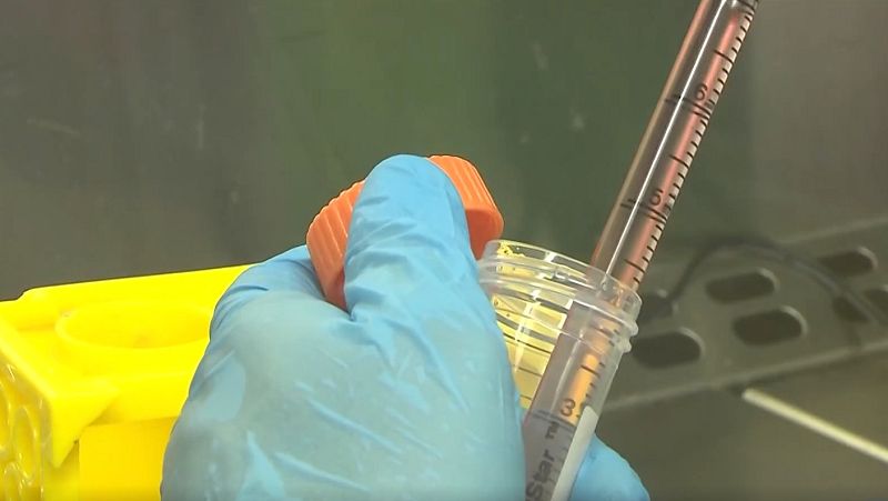 Crean un fármaco con un anticuerpo capaz de frenar la propagación de tumores y prevenir la metástasis