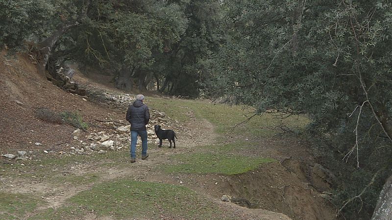 nico habitante: en Espaa hay 1.800 ncleos de poblacin con un solo vecino