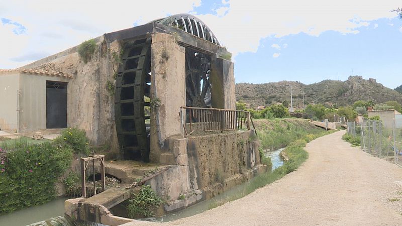 Las norias de Abarán, a por los Premios Nobel Joven del Agua 2022