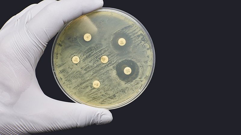 Una terapia con virus cura a un hombre de la infección de una bacteria resistente a los antibióticos
