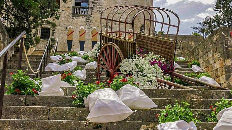Torna el color i l'alegria a Girona amb 'Temps de Flors'