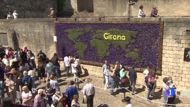 El bon temps acompanya 350.000 visitants del Temps de Flors