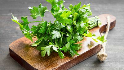 El perejil, planta arom�tica y ra�z comestible