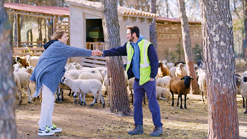 La ramaderia i l'agricultura com a mètode per prevenir incendis