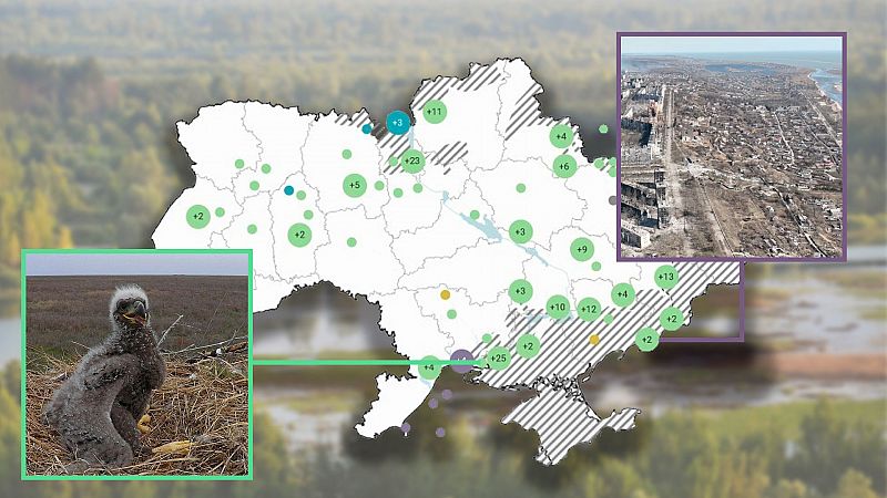 La naturaleza, víctima olvidada de la guerra de Ucrania: "Habrá daños que nunca se puedan recuperar"