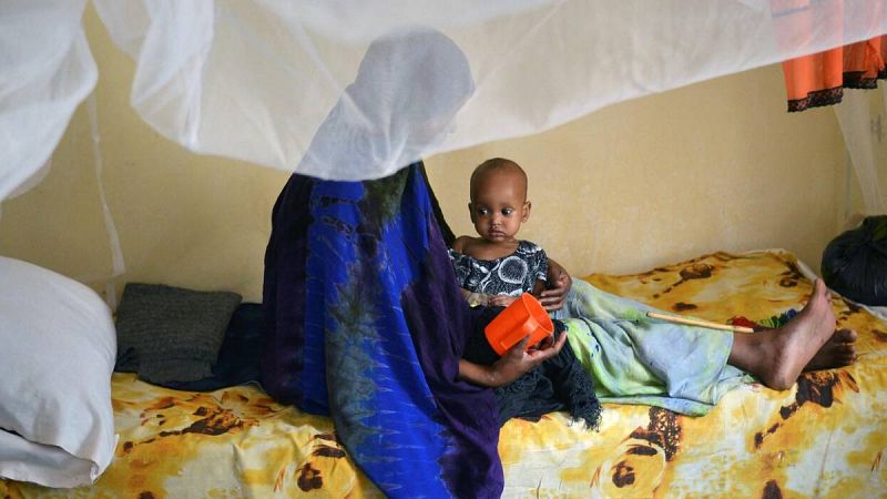 Unicef alerta de una crisis de malnutrición infantil por los elevados precios de la comida