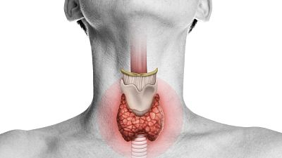 Memoria de delfín - Tiroides: el motor humano - 23/05/22 - escuchar ahora