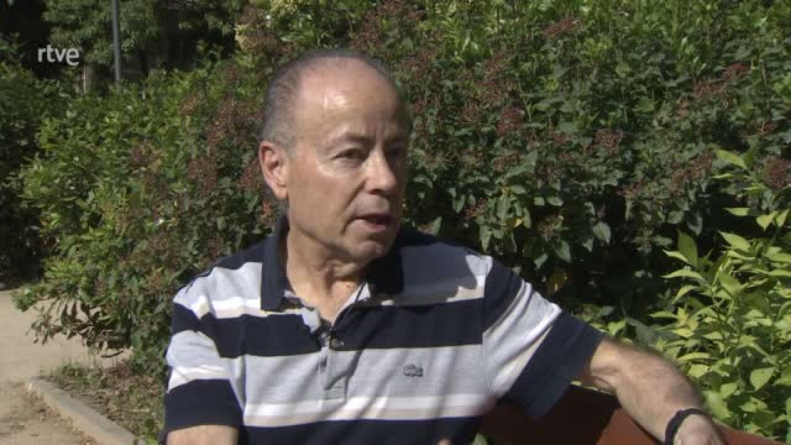 Javier Martín Vide, catedràtic de Geografia Física a la Universitat de Barcelona adverteix que estem vivint una nova realitat climàtica | Ver